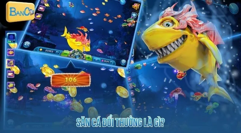 san-ca-doi-thuong-la-gi