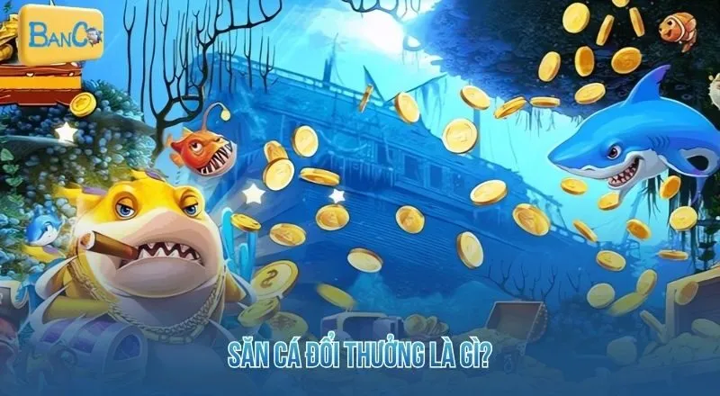 san-ca-doi-thuong-la-gi